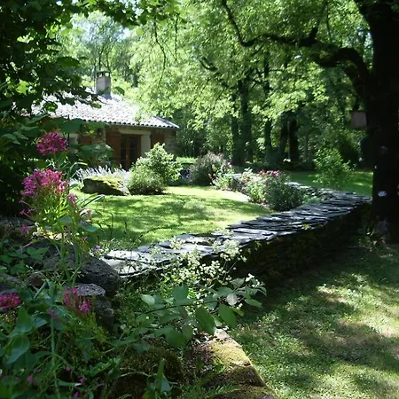 Cadre Magnifique, Nature, Piscine *